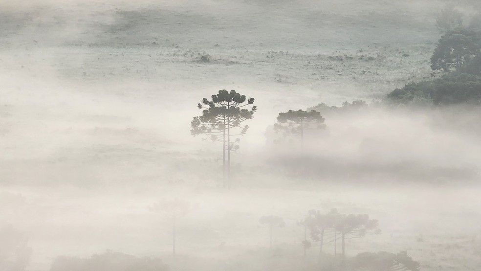 Amanecer en el Valle de los Caminos Nevados — Foto: Mycchel Legnaghi/ São Joaquim Online
