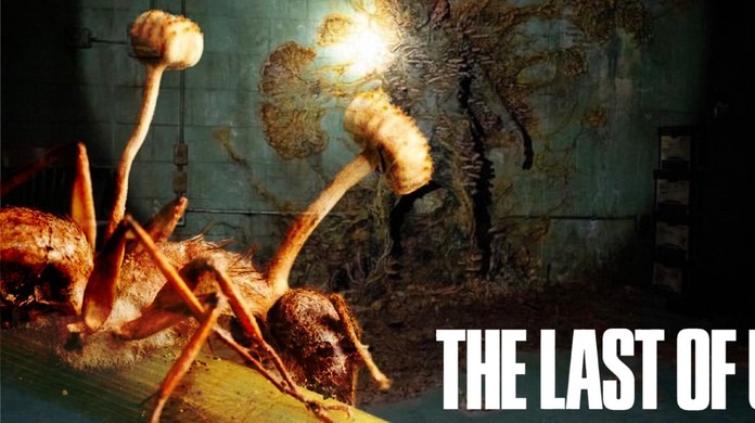 The Last of Us': fungo zumbi de série existe e é encontrado no