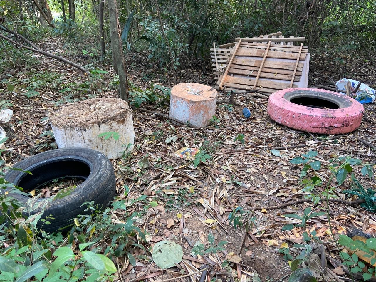 Rio Piracicaba tem lixo, esgoto a céu aberto, peixes mortos e queimada em mata às margens