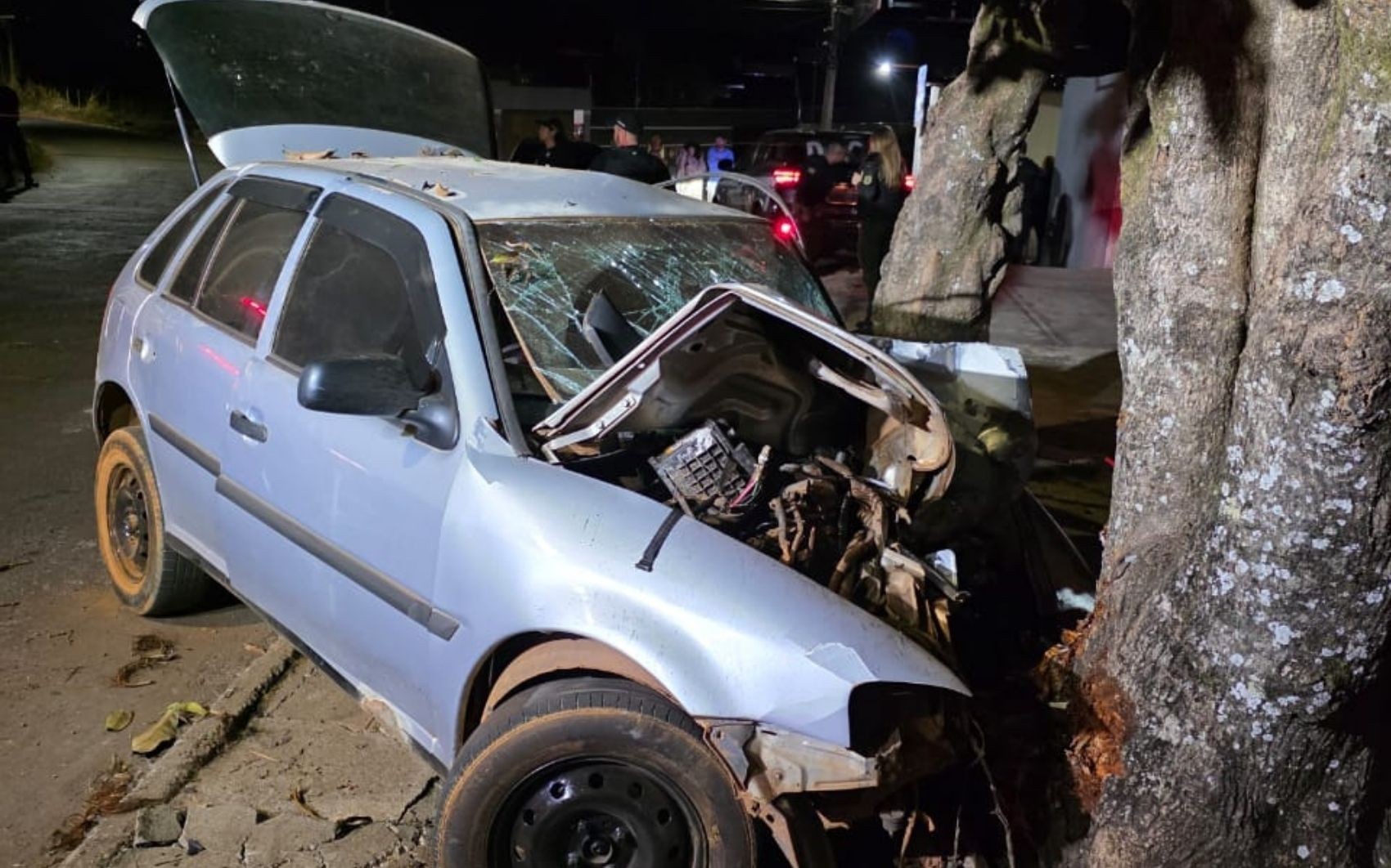 Jovem morre após fugir de blitz e bater carro contra árvore durante fuga em Anápolis; vídeo 
