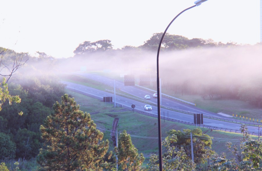 Concessionária alerta motoristas sobre riscos de neblina ao longo da SP-270, na região de Presidente Prudente; VEJA PONTOS