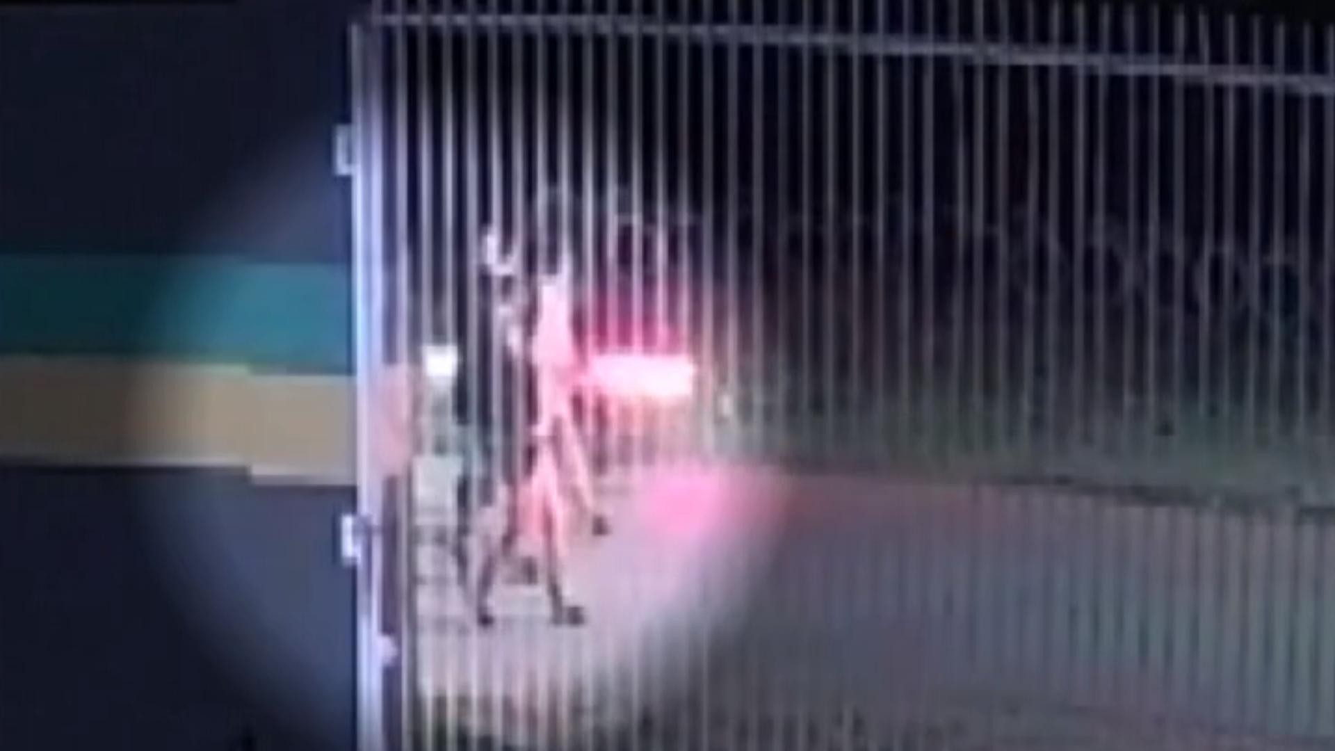 Motociclista invade marcha estudantil da PM, atropela oito alunos e morre após bater em estrutura de concreto, no Paraná