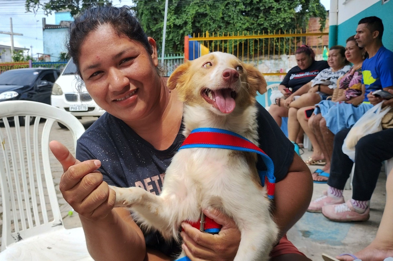 Agendamento para castração gratuita  de cães e gatos em Manaus abre nesta sexta (21)