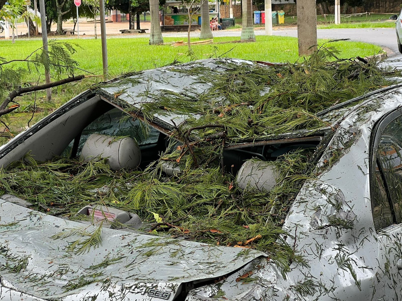 VÍDEO: Campinas registra chuva de granizo e queda de árvores; bosque é fechado após quedas de galhos