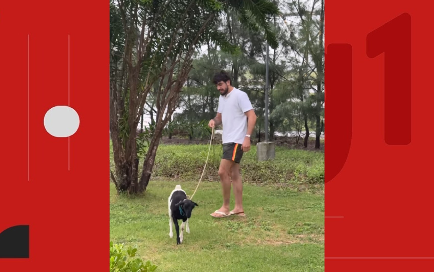 Nattan mostra rotina com bode após ser presenteado com animal em show na Bahia