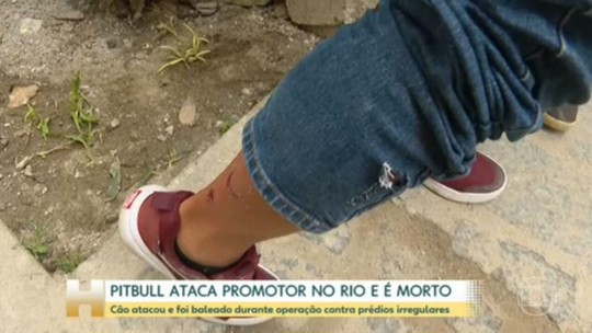 Pitbull ataca promotor durante operação é é morto no Rio - Programa: Jornal Hoje 