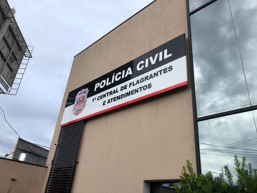 Caso foi registrado na Central de Flagrantes de São José do Rio Preto (SP) — Foto: Heloísa Casonato/g1/Arquivo