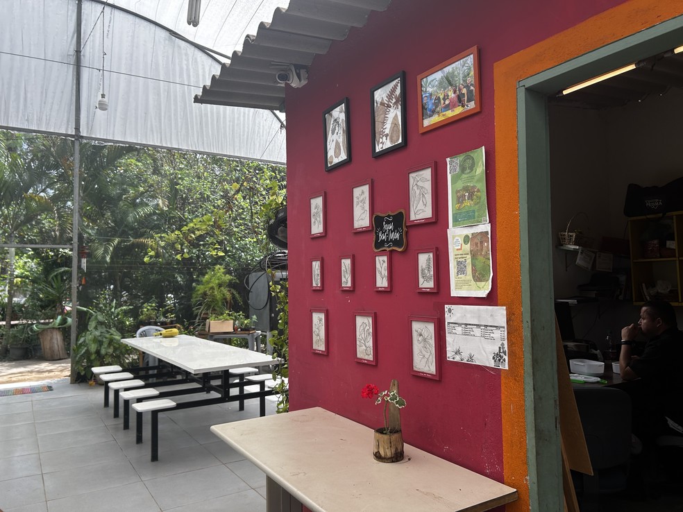Espaço das Mulheres do GAU no bairro União Vila Nova, na Zona Leste de São Paulo — Foto: Aline Freitas/g1