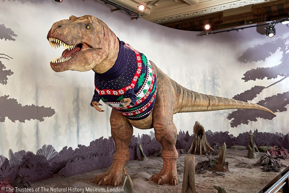 Tiranossauro Rex ganha suéter para celebrar o Natal no Museu de