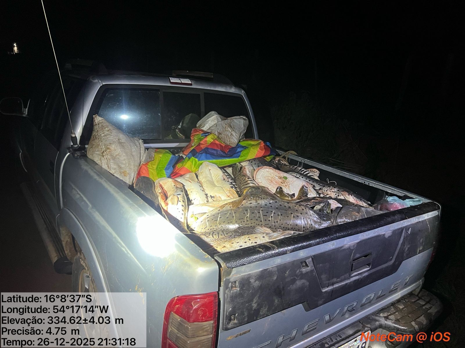 Mais de 400 kg de pescado são apreendidos durante fiscalização da piracema em MT