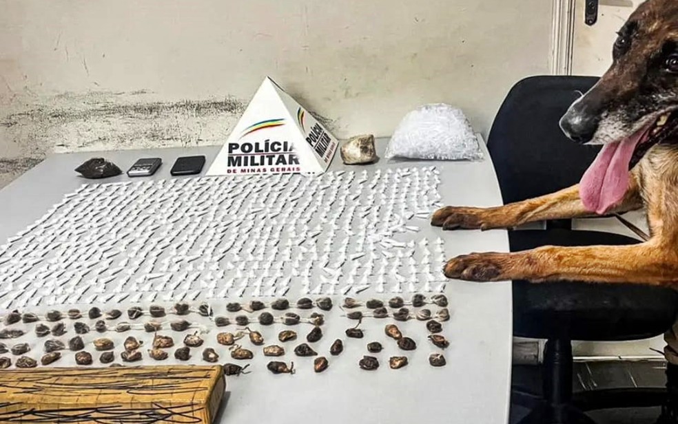 Polícia apreende mais de 600 pinos de cocaína e pedras de crack com adolescentes em Itajubá — Foto: Polícia Militar