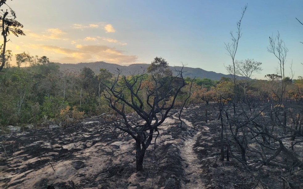 Incêndio na Chapada dos Veadeiros, em Goiás — Foto: Divulgação / IBC