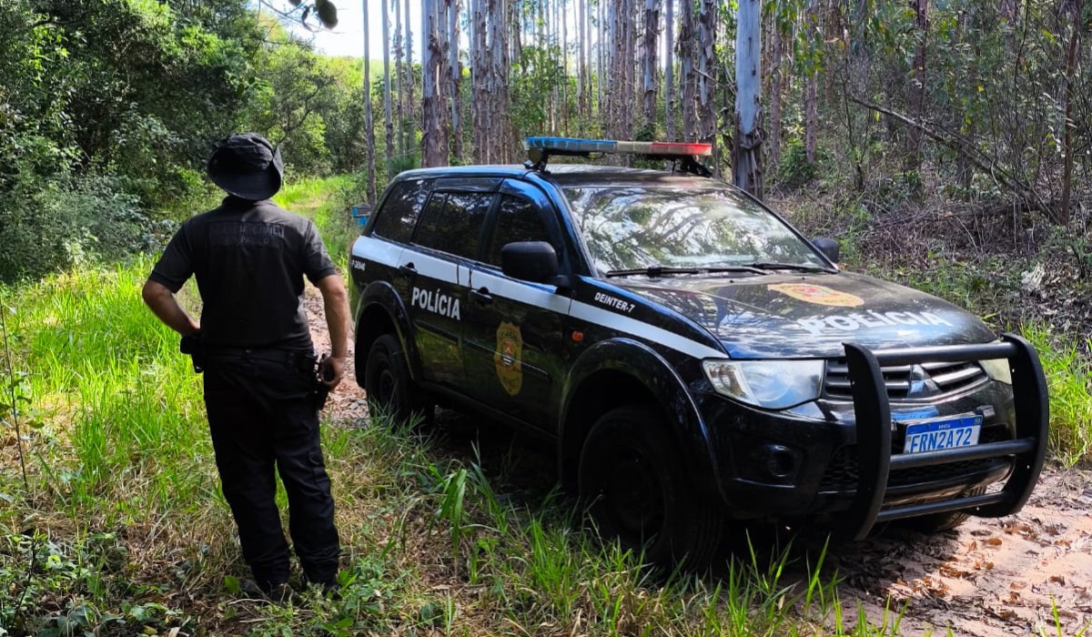 Em 6 meses, crimes rurais mobilizam 300 ocorrências e 12 inquéritos de grupo especializado da polícia no interior de SP