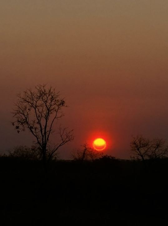 Fumaça no céu de Fortaleza diminui e  qualidade do ar melhora