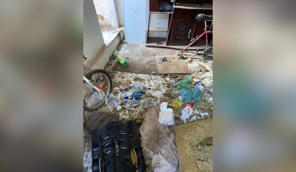 O imóvel em que foram encontrados não tinha acesso a cuidados básicos e estava infestado de carrapatos  — Foto: ONG Spaddes/Reprodução