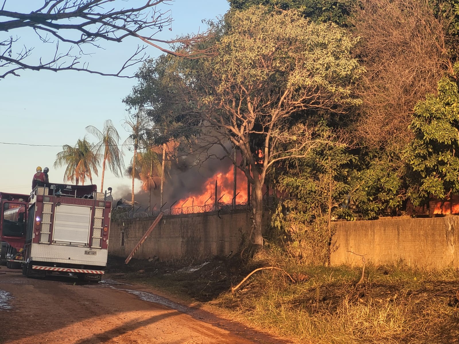 Incêndio destrói pátio de veículos apreendidos da Polícia Civil de Londrina