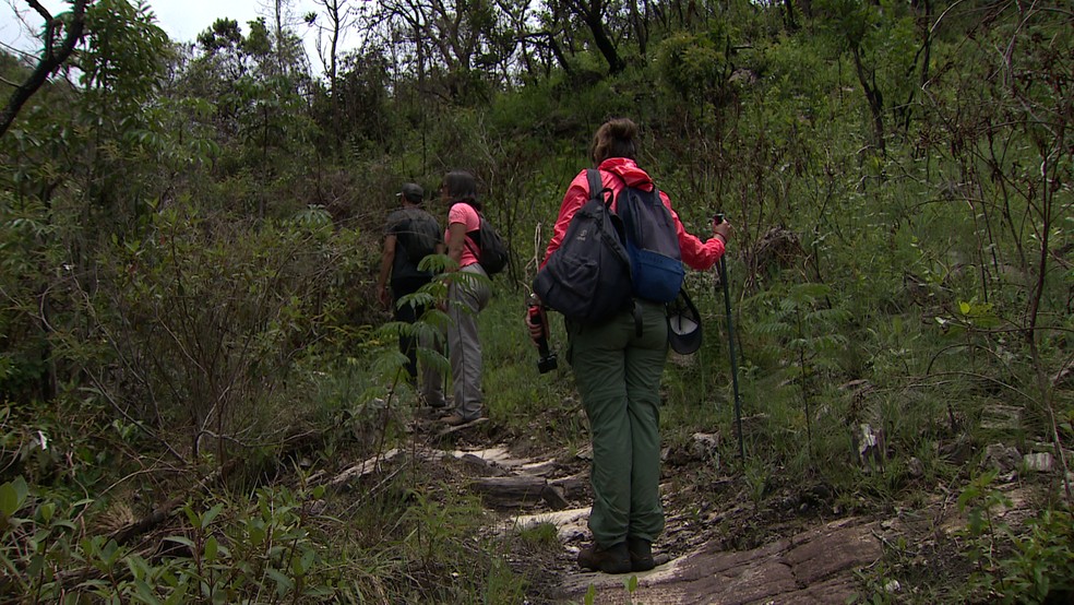'EPTV nas Férias': Trilha na reserva da Serra da Canastra, em Delfinópolis (MG). — Foto: Pedro Santana/EPTV