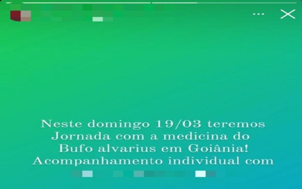 Postagem falavam explicitamente que os atendimentos eram realizados com as substâncias do sapo - Goiás — Foto: Reprodução/Polícia Civil