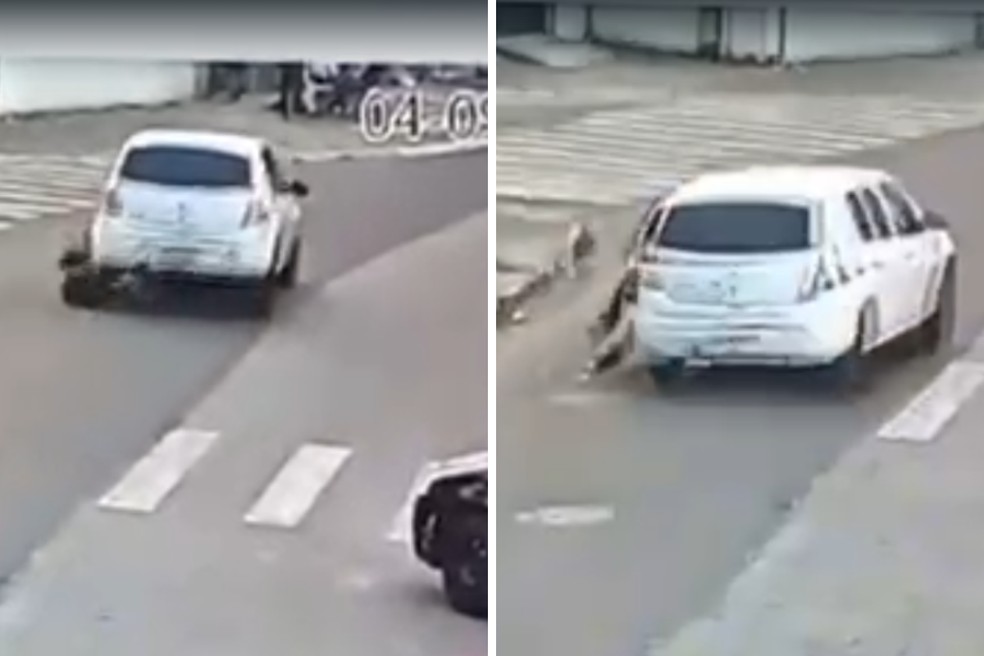 foto g1 16