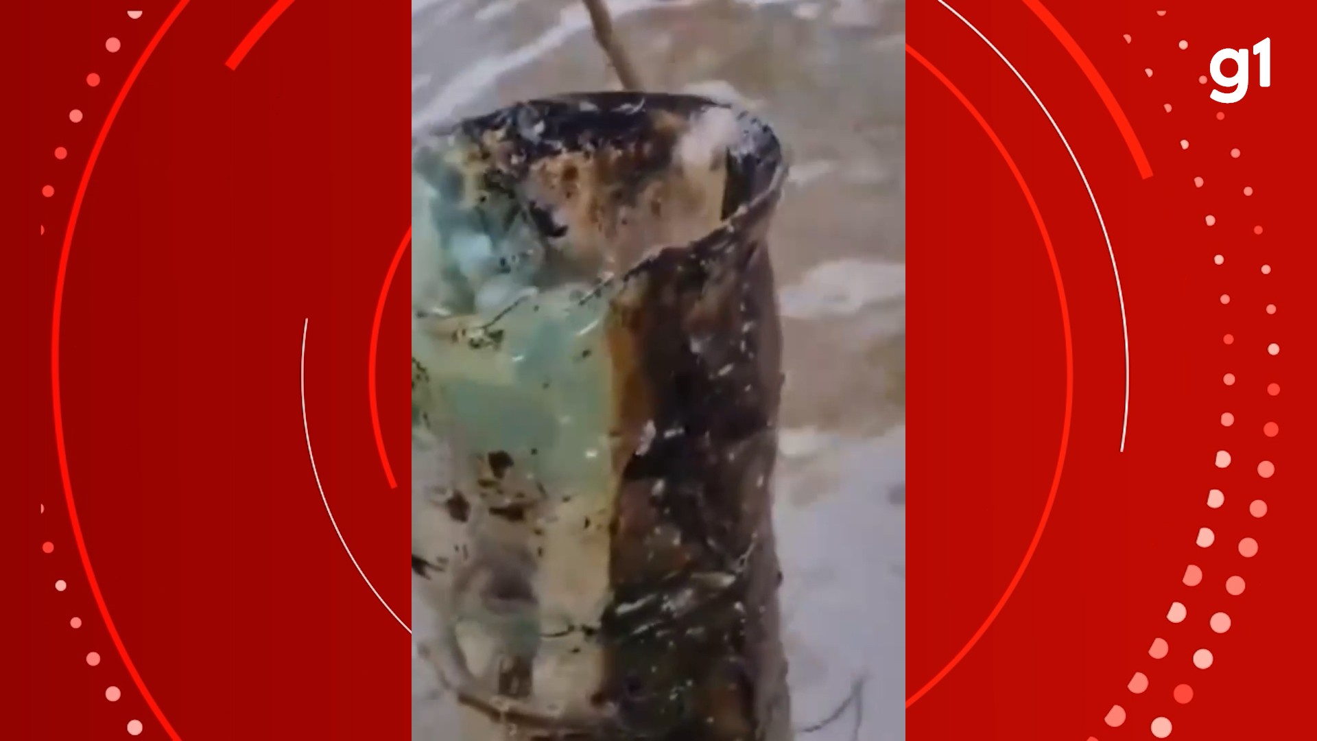 Você Não Tá Convidada pro Meu Bat Mitzvá!