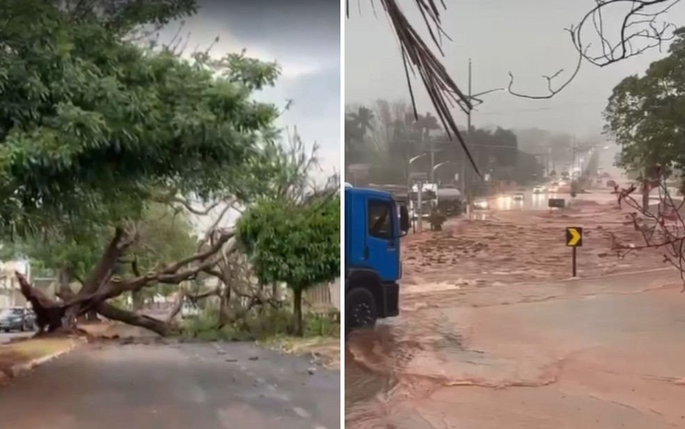 Temporal derruba árvores, alaga avenidas e deixa carros ilhados em cidades de Goiás — Foto: Reprodução/TV Anhanguera