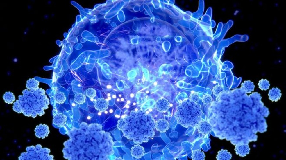 Sistema imune de mulheres responde melhor à COVID-19, aponta estudo