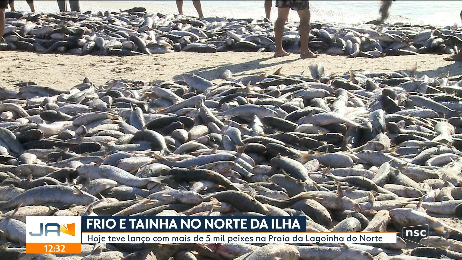VÍDEOS: Jornal do Almoço Florianópolis de quinta-feira, 21 de maio de 2026