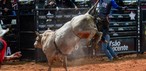 Final da montaria em touros da PBR foi um dos destaques da 4ª noite da Festa do Peão de Americana 2026, neste domingo (7) — Foto: Thomaz Marostegan