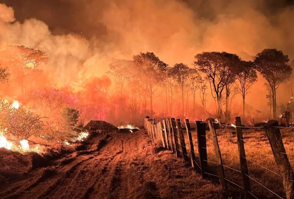 Fogo no Pantanal de Mato Grosso do Sul em anos anteriores — Foto: CPA-CBMMS / Mairinco de Pauda