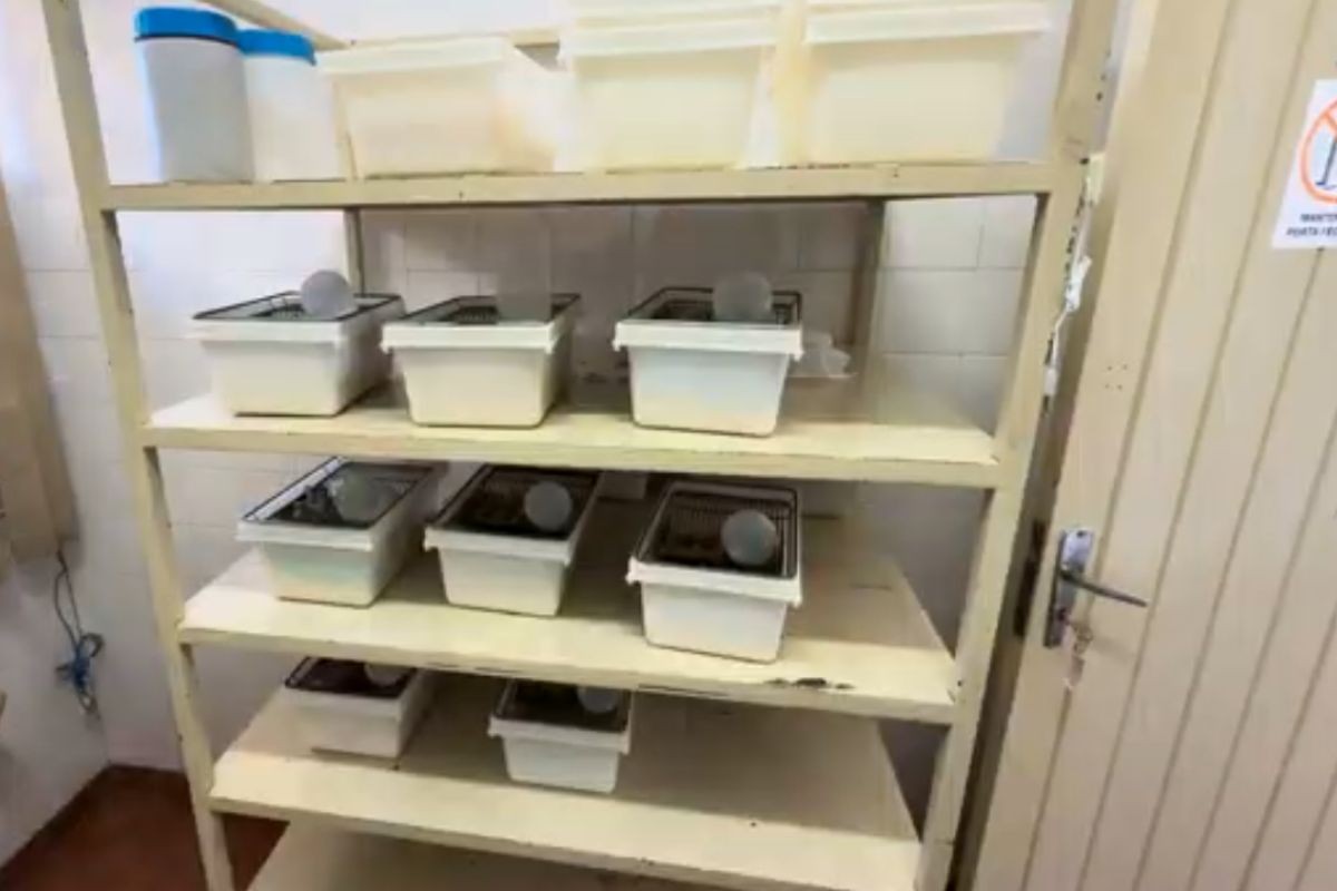 Laboratório que monitora febre maculosa e doença de Chagas está sem veterinário e registro há 5 anos, diz associação