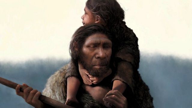 Bebês neandertais eram enormes e cresciam mais rápido que humanos