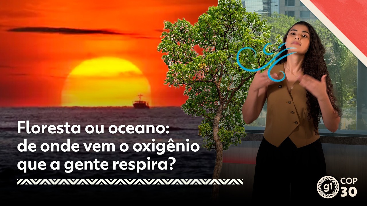 Floresta ou oceano: de onde vem o oxigênio que a gente respira?