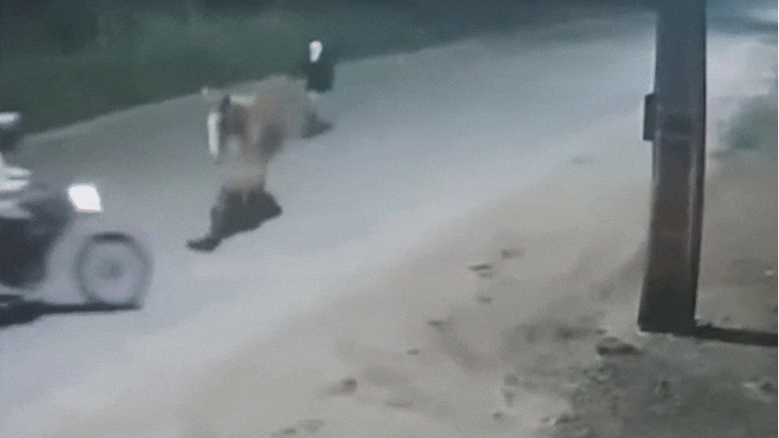 VÍDEO: cavalo solto na pista provoca queda de motociclista antes de assalto em Imperatriz