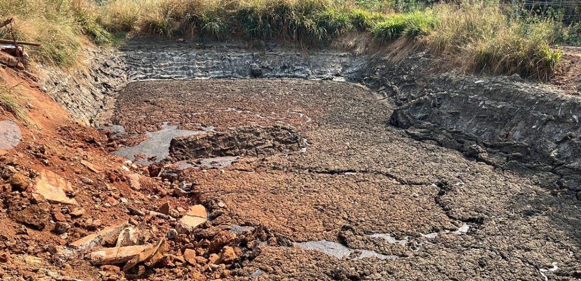 Abatedouro de frangos é multado em quase R$ 200 mil por poluir área de preservação permanente em Pará de Minas