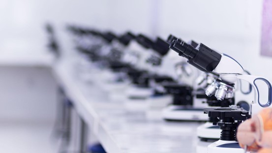 Formando médicos brasileiros com excelência e reconhecimento internacional