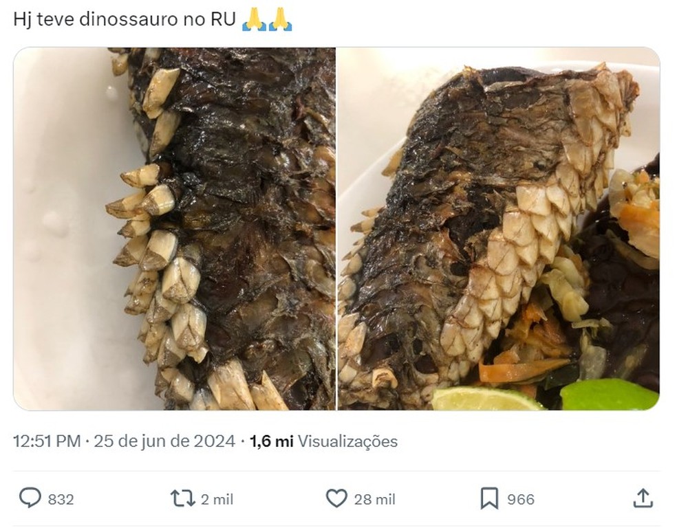 Tainha servida em restaurante foi comparada com dinossauro, e imagem viralizou — Foto: Redes sociais/ Reprodução