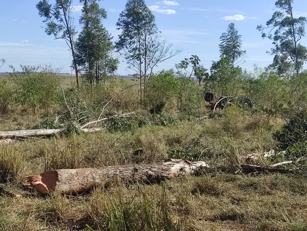 O ex-vereador Filadélfio Alves Júnior morreu em Santo Anastácio (SP) — Foto: Murilo Zara/TV Fronteira
