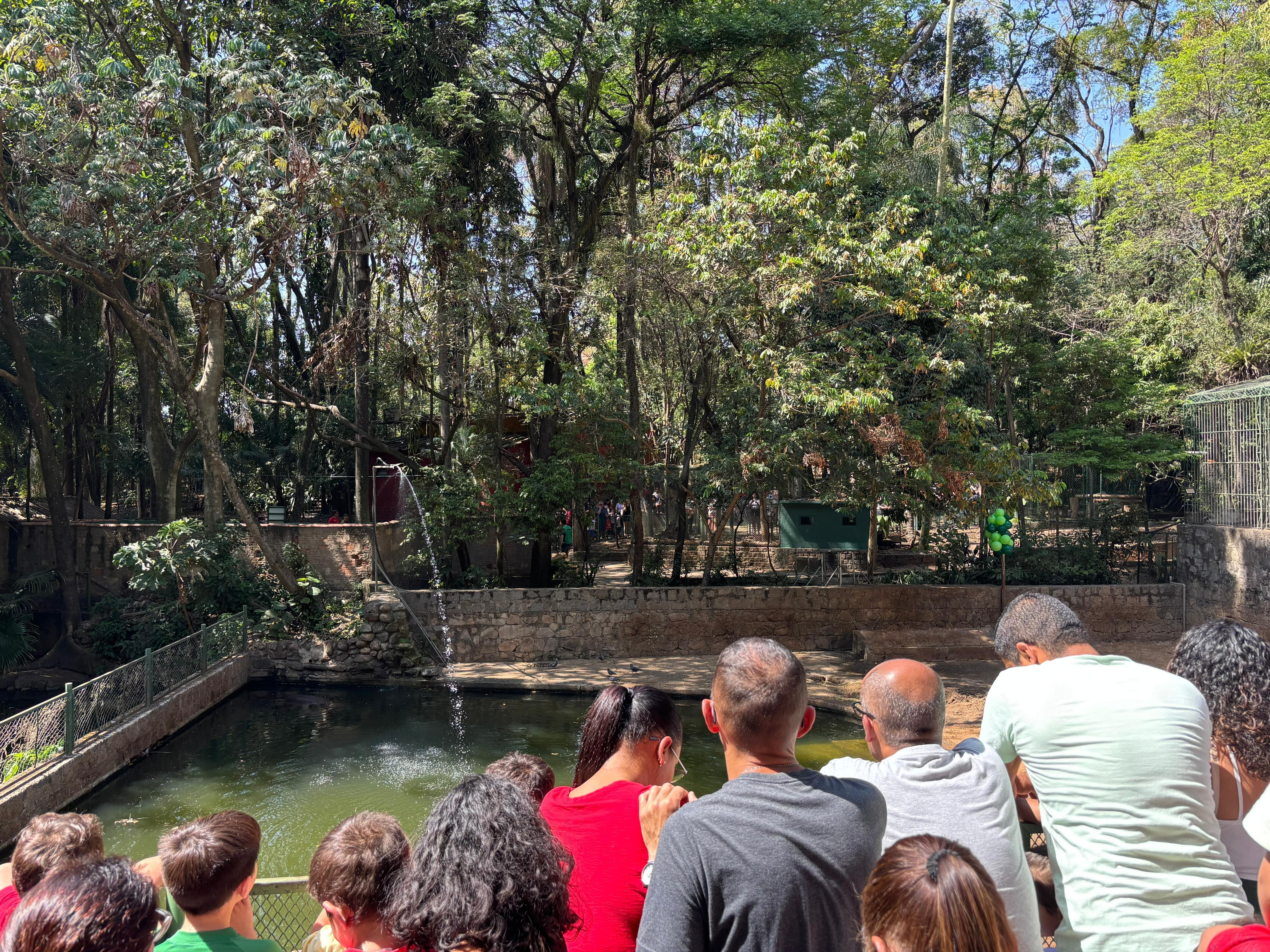 'Fãs' de Dinho: público lota festa de aniversário de hipopótamo de 19 anos em Campinas