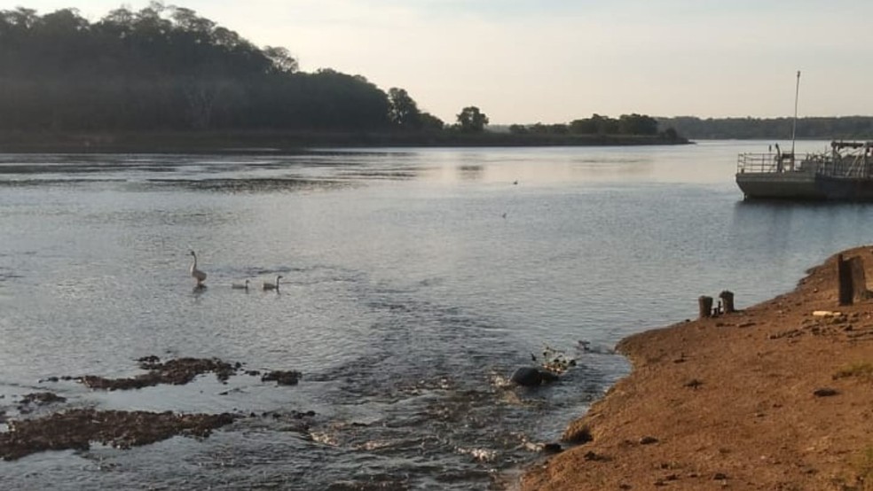 Adolescente de 13 anos desaparece no Rio Grande em Frutal — Foto: Corpo de Bombeiros/Divulgação