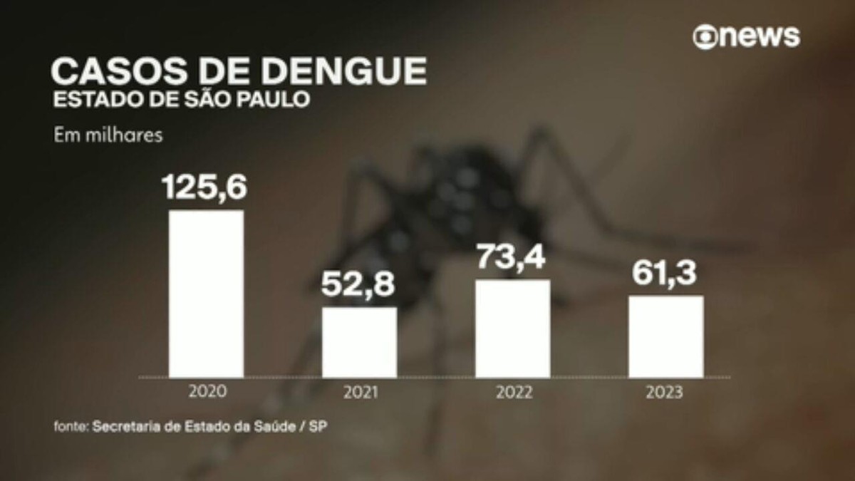 Na contramão do país, SP registra queda de 16 em casos de dengue em