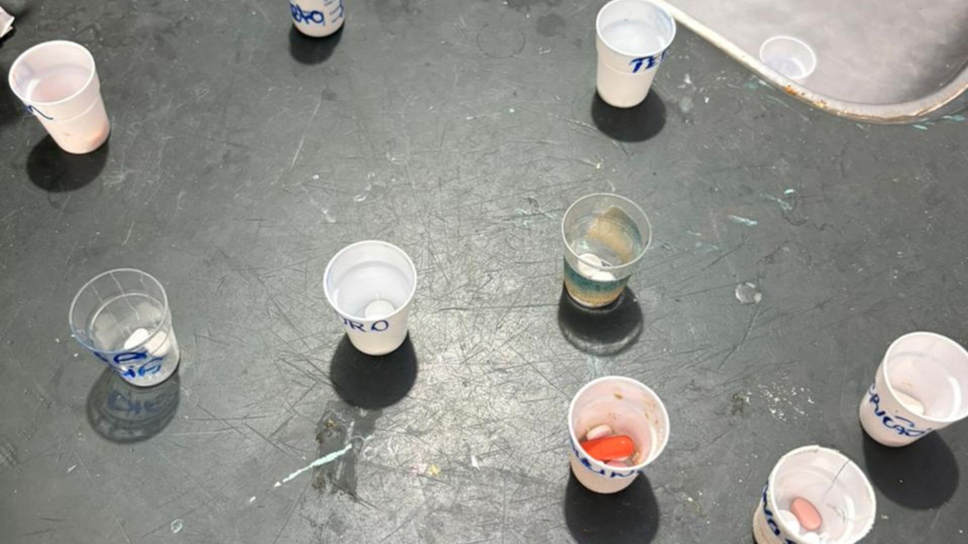 Você Não Tá Convidada pro Meu Bat Mitzvá!