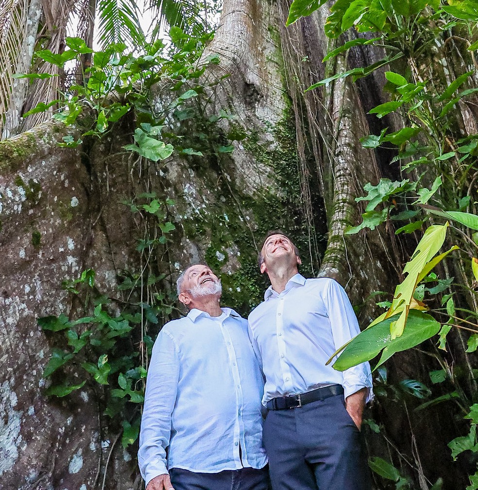 Lula e Macron embaixo da árvore sumaúma, a maior árvore da Amazônia, na Ilha Combu, no Pará. — Foto: Ricardo Stuckert