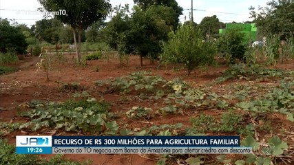 Governo negocia R$ 300 milhões em créditos para a agricultura familiar