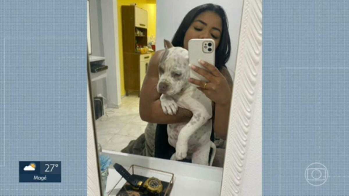 Bewohner des Complexo do Alemão bergen Thor, den Hund, den der Premierminister während der Operation mitgenommen hat |  Rio de Janeiro