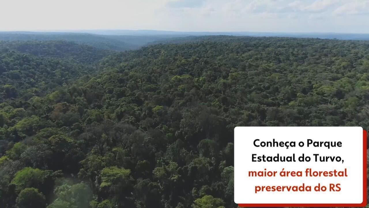 Conheça o Parque Estadual do Turvo, maior área florestal preservada do ...