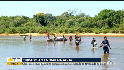 Ataques de arraias podem aumentar com a chegada da temporada de praias; veja os cuidados