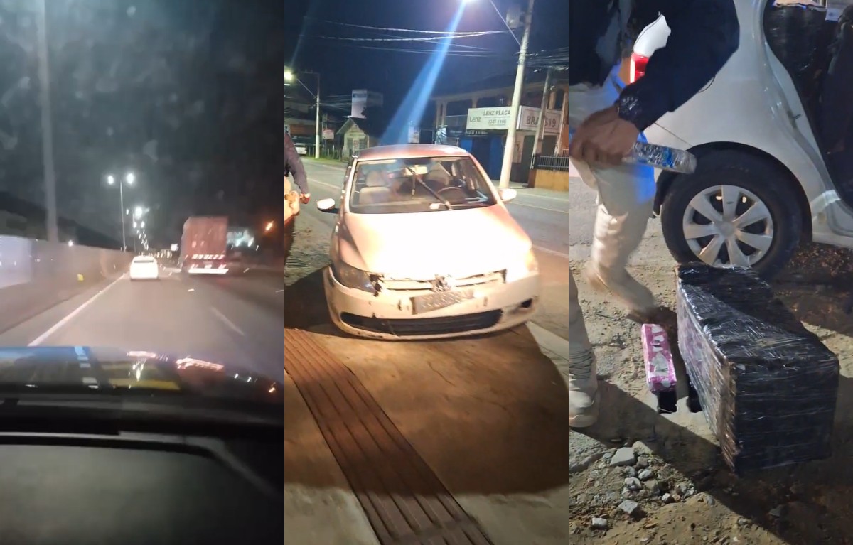 Homem é mordido por pitbull após causar acidente ao fugir da polícia pela BR-101, em SC