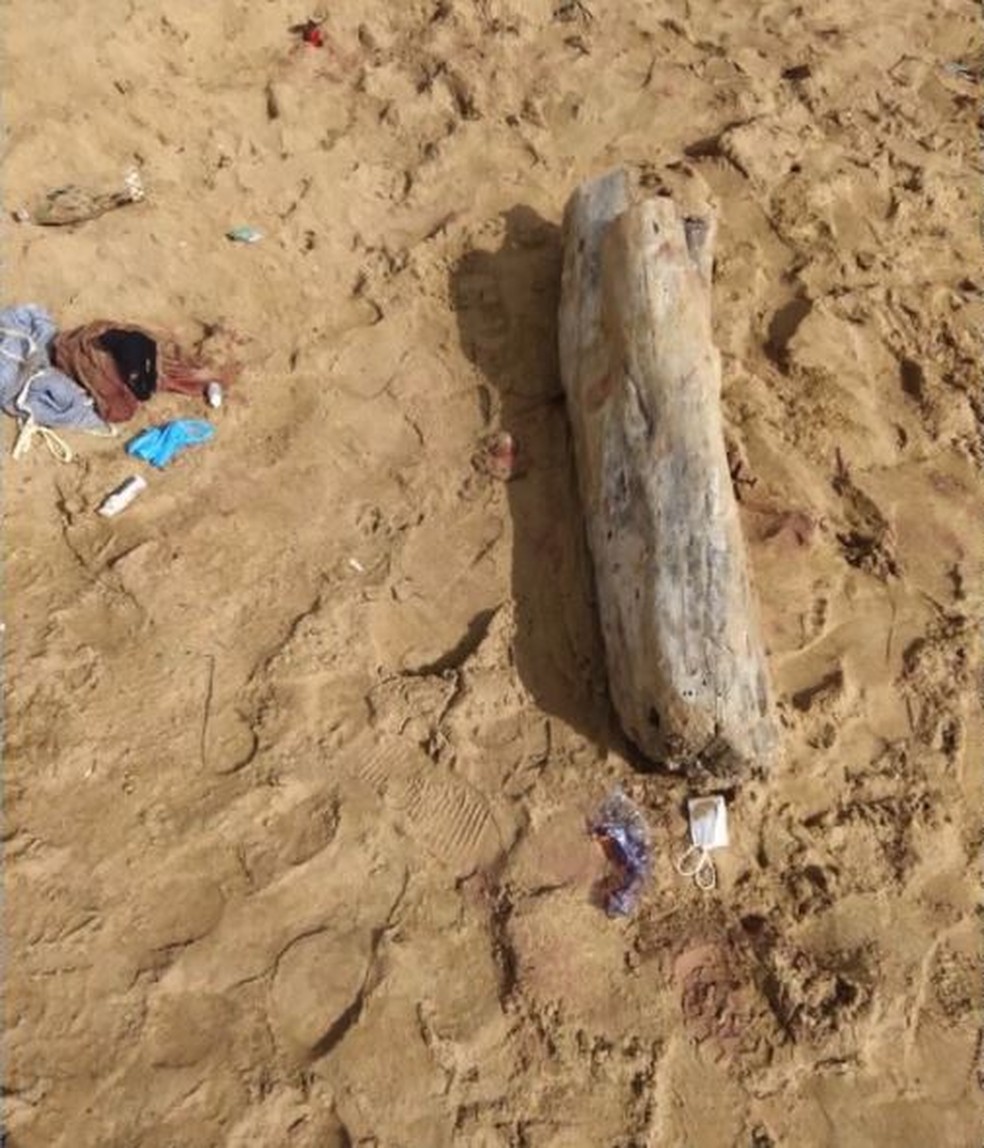 Mochila, cacos de vidro e pedaços de órgão foram achados — Foto: Reprodução/TV Gazeta