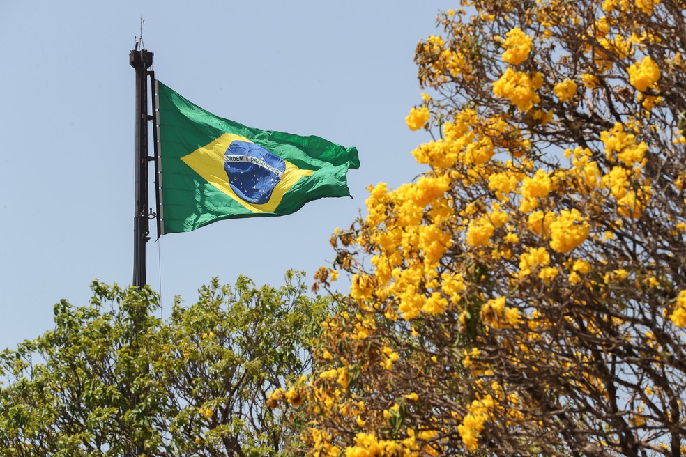 Homem Com Bandeira do Brasil Nas Costas Independência do Brasil