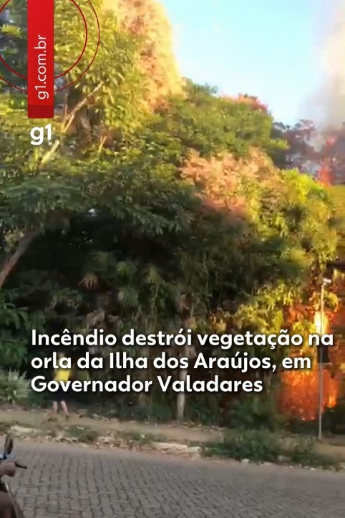 VÍDEO: Incêndio destrói vegetação na orla da Ilha dos Araújos, em Governador Valadares